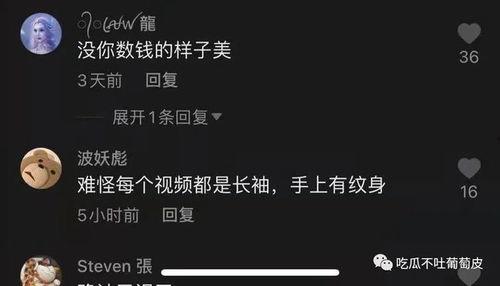 网红抖音吃瓜网站,热门事件背后的真相与笑料