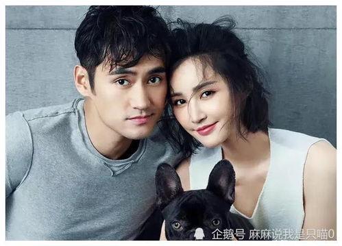 吃瓜全球最新爆料,吃瓜群众揭秘最新爆料风云