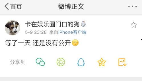 濮阳吃瓜爆料聊天